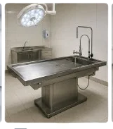 Autopsy Table